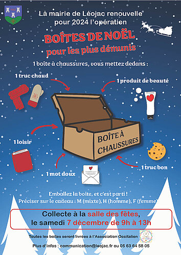 Collecte de boîtes de Noël